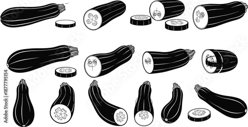 Zucchini and squash vector illustration set, black and white vegetable slices and whole forms, hand drawn botanical food elements isolated on white background