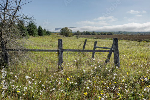 Rustic wooden fence in a vast meadow with wildflowers and distant pine trees under a clear sky. Thunder Bay, Ontario, Canada