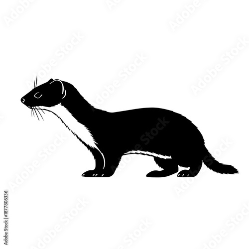 Black silhouette of a slender weasel or stoat with a white belly patch, standing sideways on a white background.