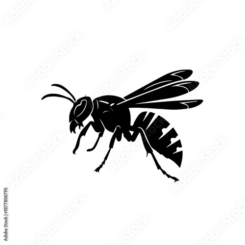 A black silhouette of a wasp with detailed wings and segmented body.
