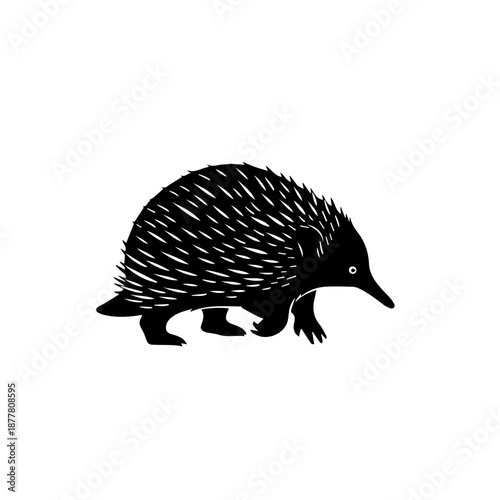 Black and white illustration of an echidna with a long snout and spines.