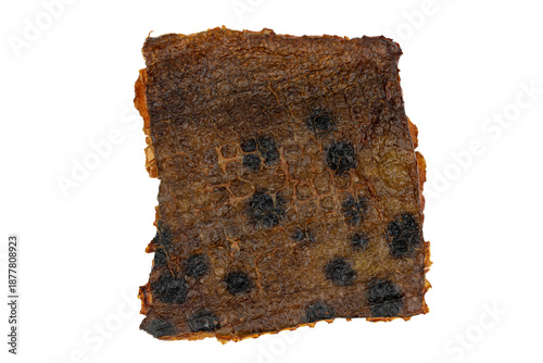 the smoked filet of Atlantic wolffish 