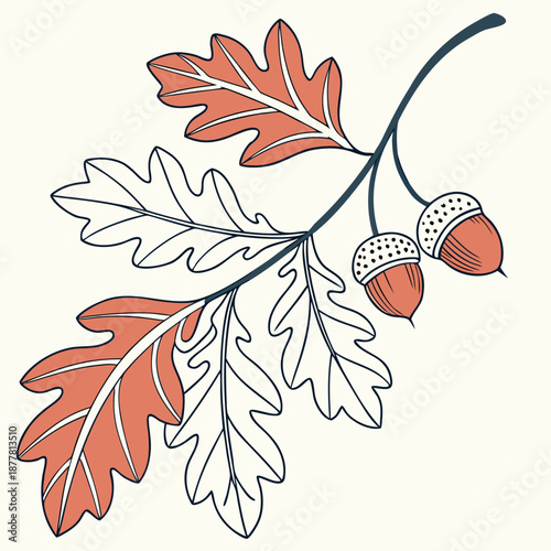 Autumn oak leaves and acorns