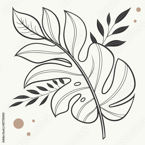 Botanical leaf illustration