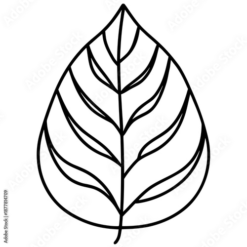 Simple leaf outline