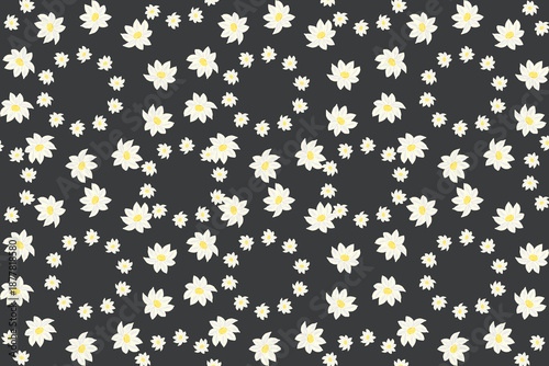 Tableau sur toile White daisies on dark background, floral pattern with yellow centers