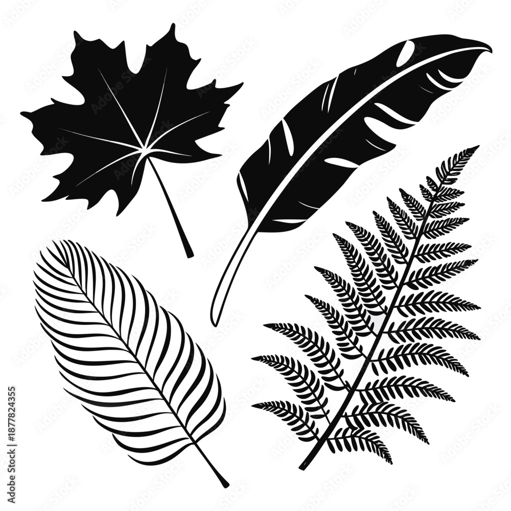 Obraz premium Black and white leaf collection