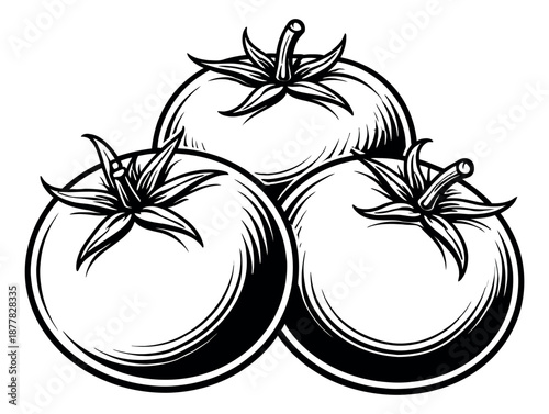Vintage hand drawn tomato set featuring three ripe tomatoes for food design
