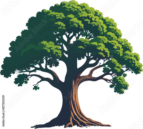 Isolated vector silhouette of a natural oak tree with roots and green spring foliage featuring a single trunk and branches for an environmental forest landscape illustration