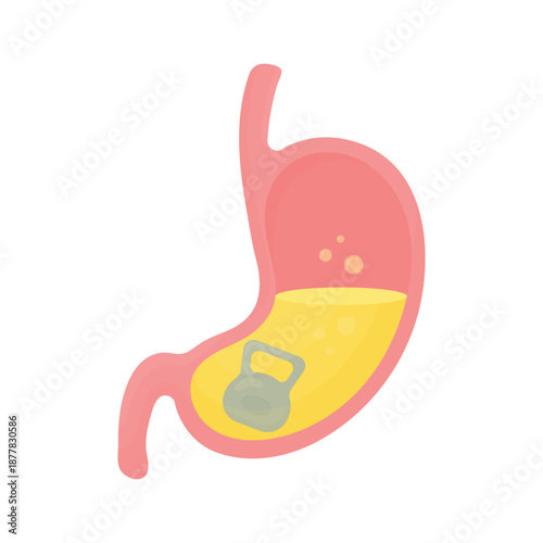 Human stomach with heaviness. Digestive discomfort, bloating and abdominal pressure. Gastroenterology problem and digestive system concept. Flat vector illustration.
