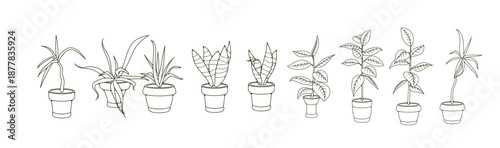 Set of house plants in a pot. Flat style. Green plant in a flower pot for cozy decoration of home, garden, veranda, balcony, terrace, office, living room, patio. Vector illustration.