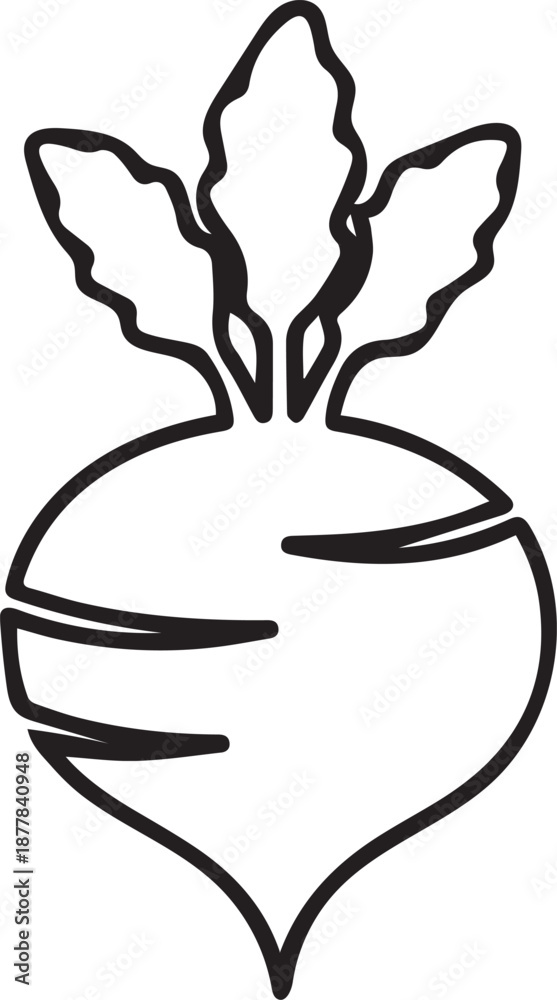 Obraz premium Beetroot Outline Vector Icon On White Background