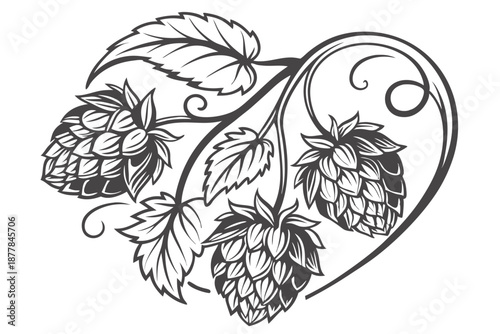  Black and white illustration, heart-shaped composition, detailed hop cones, intricate botanical drawing, beer ingredient art, clustered hops, vine leaves, realistic texture, vintage engraving style