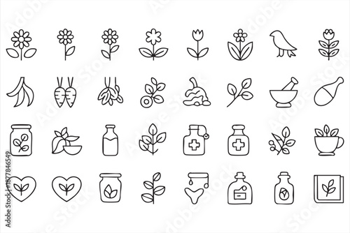 Herbal Extract Icons for Pharmacy Websites, Branding Templates