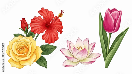 Wallpaper Mural A yellow rose, red hibiscus, pink lotus, and pink tulip on a white background Torontodigital.ca