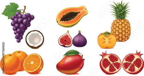 Colorful Tropical and Fresh Fruit Illustration Set Featuring Grapes, Papaya, Pineapple, Mango, Citrus, and Pomegranate for Healthy Food Designs