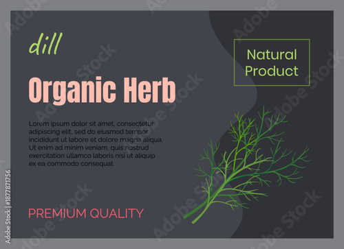 Herbal leaves icon. Organic herb. Fresh dill twig. Natural product. Greengrocery food label. Garden crop. Premium spice. Vegetarian ingredient. Plant bunch. Vector marketing banner design
