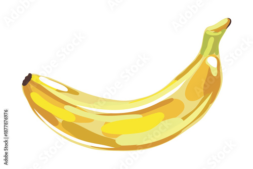 Hand Drawn Banana Fruit Botanical Illustration