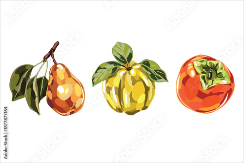 Hand Drawn Autumn Fruits Botanical Collection