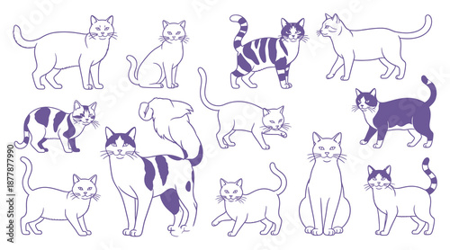 Flat line art style design of group of animal cat in different pose.