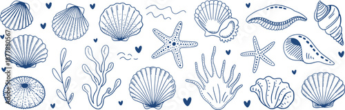 Hand drawn marine illustration set with seashells starfish seaweed coral ocean elements doodle style vector design line art blue minimal
