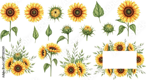 A vibrant watercolor illustration set featuring various sunflower elements including full blooms, buds, and leaves, perfect for decorative design projects.