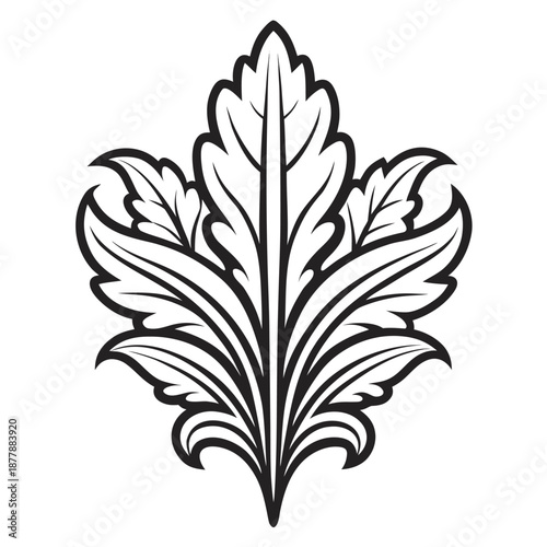 Obraz na płótnie acanthus mollis line art vector on white background