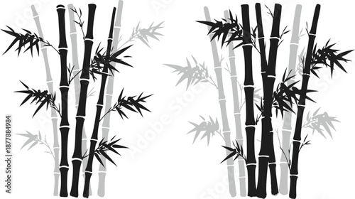Black and white silhouette of tall bamboo stalks with leaves in asian style illustration for nature background design