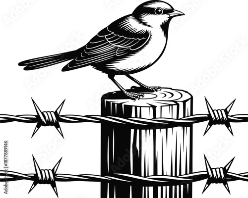 Detailed songbird perched atop weathered wooden fence post with barbed wire in rural landscape illustration black and white vector drawing for nature conservation environmental protection agriculture