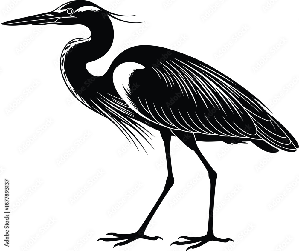 Obraz premium Elegant black heron vector illustration standing tall in minimalist style wildlife animal graphic design element for nature conservation prints environmental awareness campaigns or ornithology educati