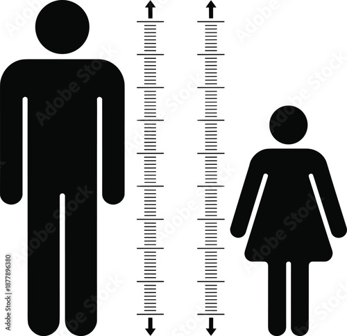 Height comparison of man and woman with height chart demonstrating relative size difference for medical research or educational materials showing body proportions and human anatomy in a modern minimal