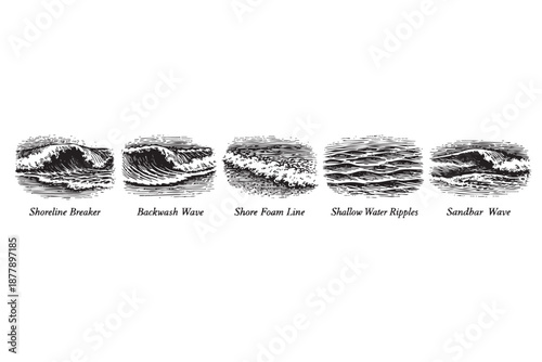 This collection of ocean wave engravings features shoreline breaker to sandbar, perfect for illustrating nautical themes, vintage designs, or educational material with different types of waves.
