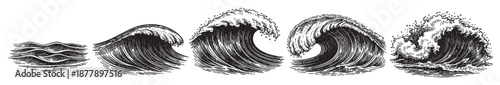 Vector illustration showing ocean waves progressing from calm to crashing in a detailed engraving style on a clean, white background. Useful for designs that require nautical, sea or ocean themes.