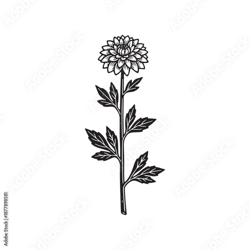 A simple representation of a vector file format in a graphic design context.