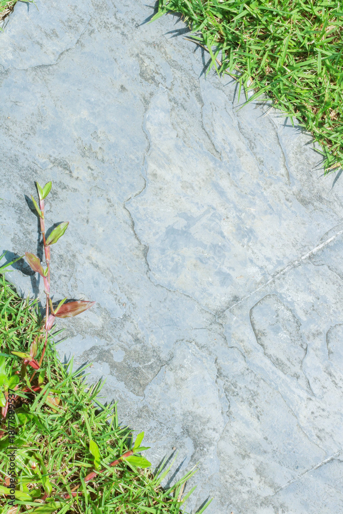 Naklejka premium Close-up view of granite laid on grass lawn, creating a natural