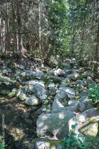 Szklarki Waterfall in Piechowice , Poland 01 July 2025, visiting the park with the Szklarki waterfall located in the forest.