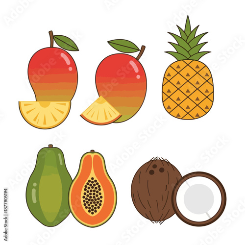 Assorted Tropical Fruits and Coconut Illustration.