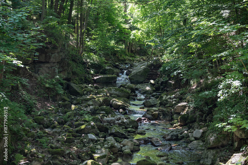 Szklarki Waterfall in Piechowice , Poland 01 July 2025, visiting the park with the Szklarki waterfall located in the forest.