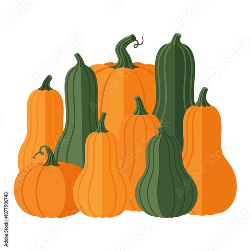 Assorted Pumpkins and Gourds Illustration.