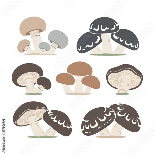 Collection of Various Mushroom Illustrations.