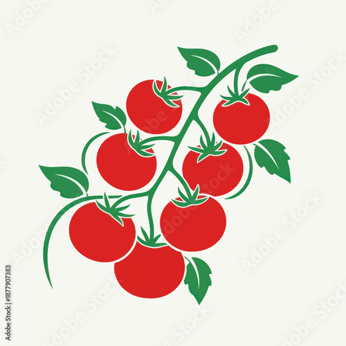 Tomatoes on the vine illustration.