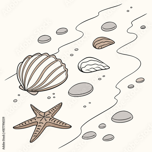 Shells and starfish on wet sand with pebbles white background