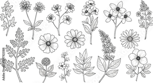 black-and-white botanical icons featuring diverse flowers, leaves, and stems in fine line art