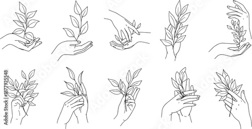 black-and-white icons showing hands gently holding leafy branches in minimalist line art