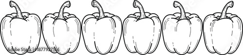 Bell pepper outline illustration, seamless row vegetable sketch, black white line art, cad drawing flat vector illustration, for stock design