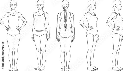 Female body anatomy line art with front back and side views, medical posture illustration reference for healthcare, fitness, and education