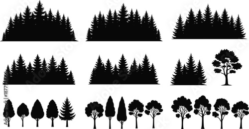 Black forest and tree silhouettes, pine woodland landscape, nature scenery, minimal vector illustration, outdoor environment, evergreen trees collection