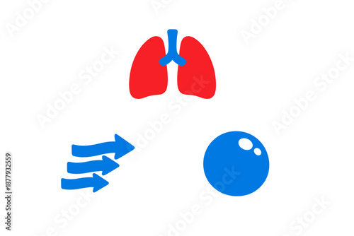 Medical illustration of lungs and air flow