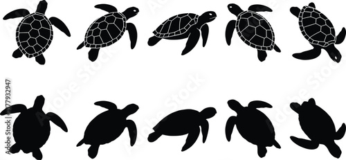 Turtle icon set, black silhouette illustrations, detailed and solid styles, animal poses and perspectives, vector graphics, nature theme