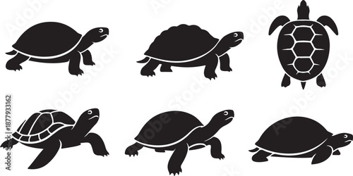 Collection of stylized turtle silhouettes in various poses and angles